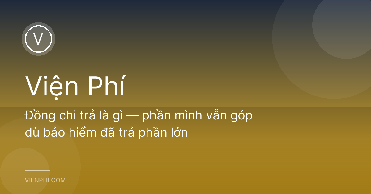 Đồng chi trả là gì — phần mình vẫn góp dù bảo hiểm đã trả phần lớn